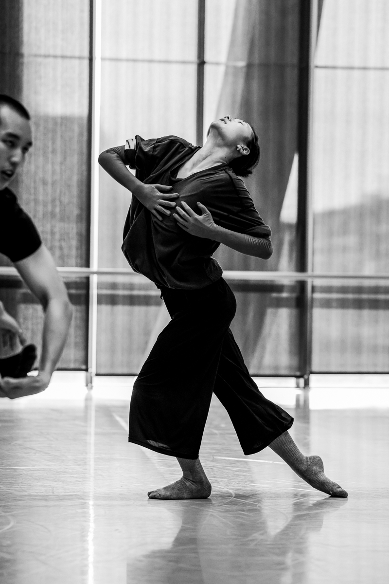 Terms &amp; Conditions NDT 2 Auditions